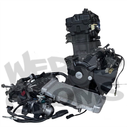 250/300cc ENGINE PACKAGES