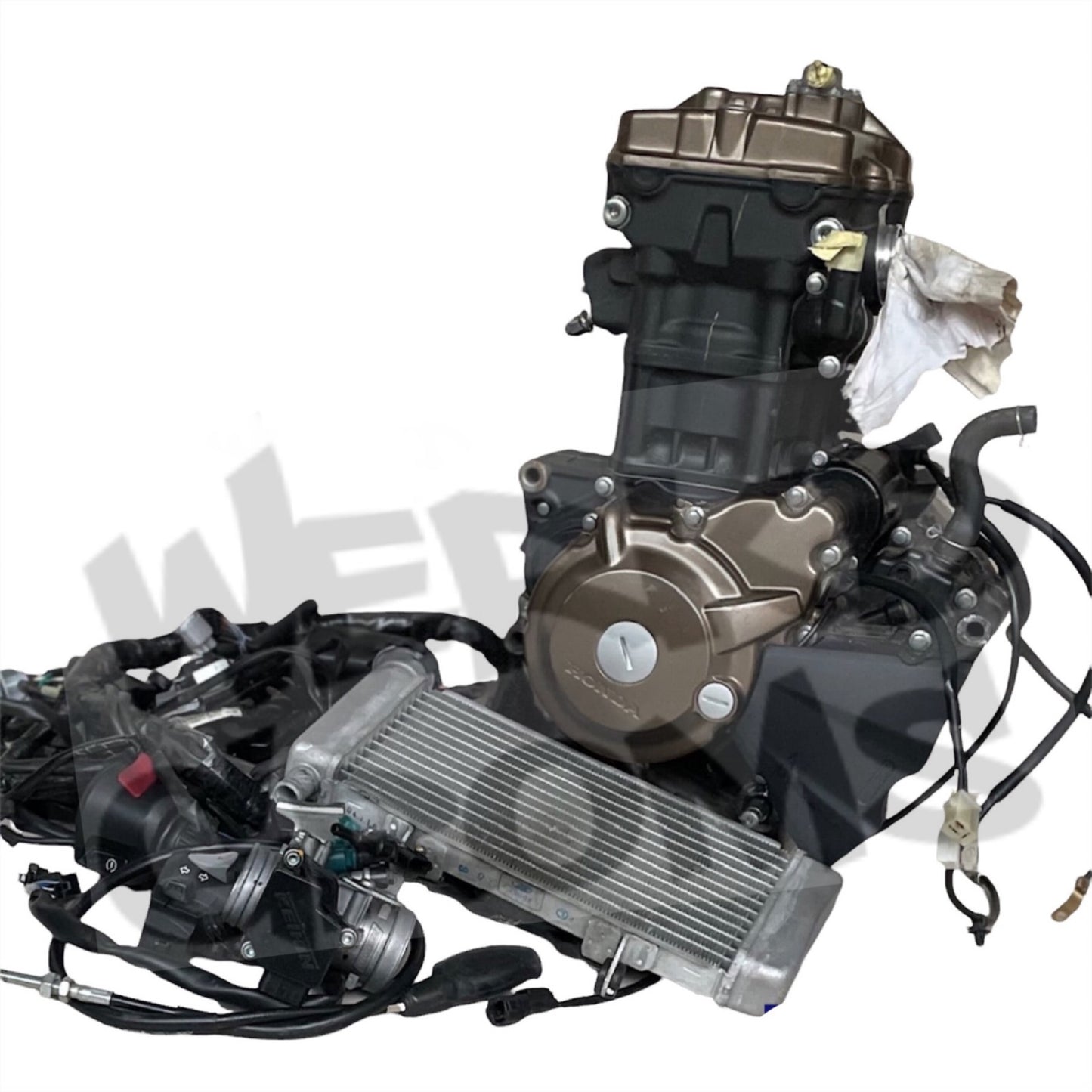 250/300cc ENGINE PACKAGES