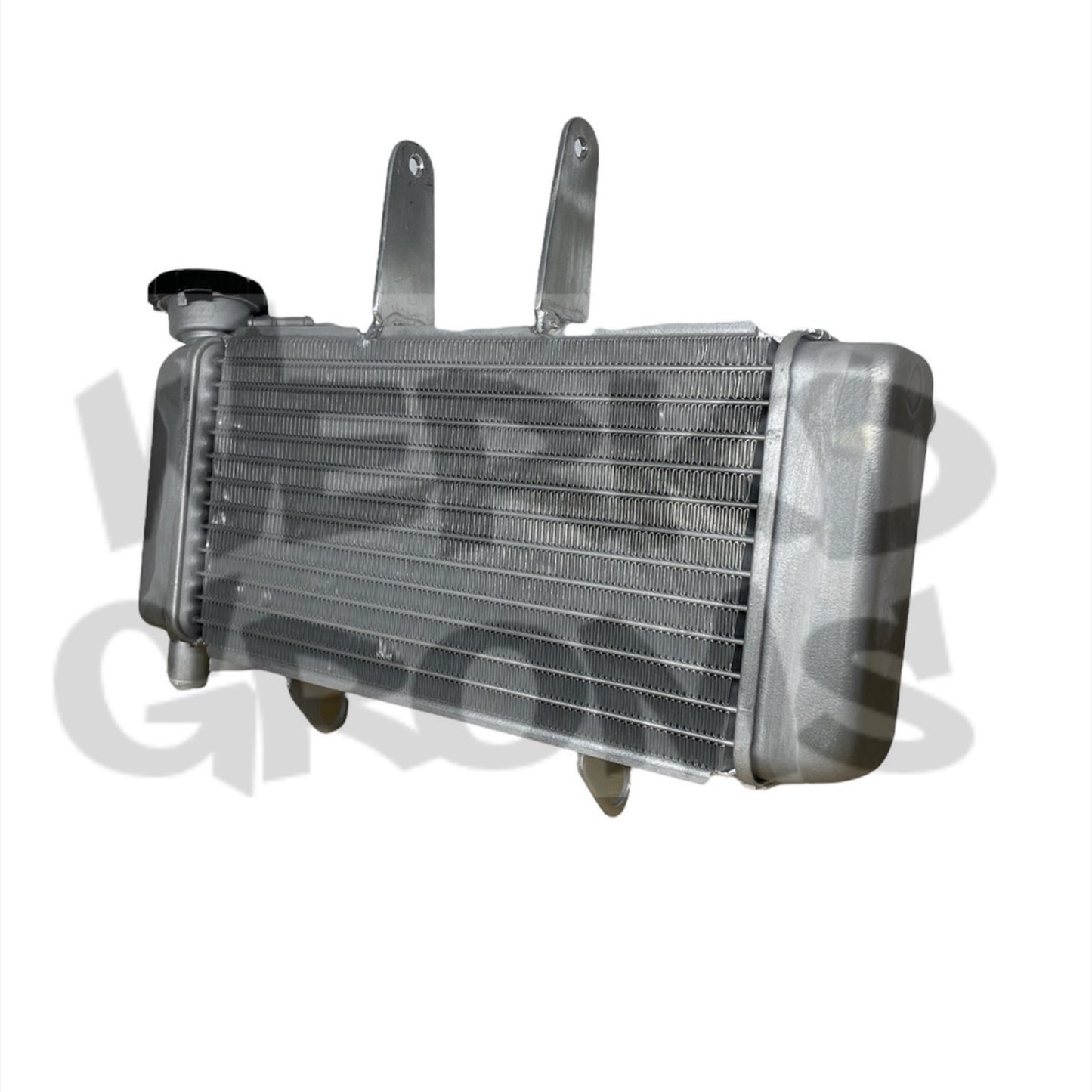 250/300cc RADIATOR